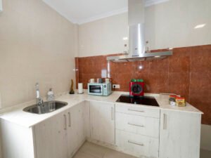 Detalle de la cocina del apartamento en Casa Cancela, equipada con vitrocerámica, campana extractora de acero inoxidable, microondas, fregadero y kit de cortesía para el desayuno en Palas de Rei.